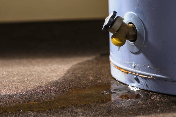  Erwin, TN Water damage restoration Pros