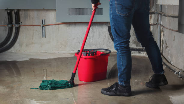 Best Flood restoration services  in Erwin, TN