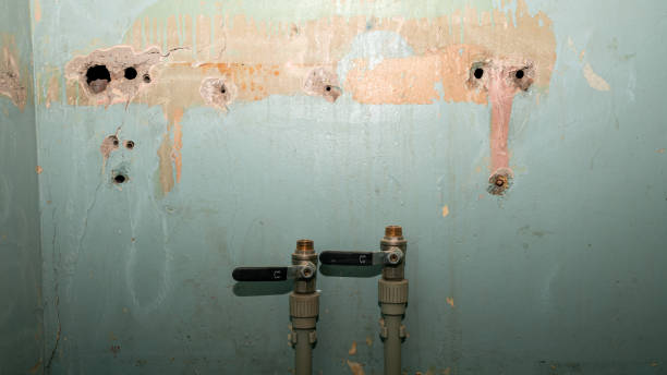 Best Fire Damage Restoration  in Erwin, TN