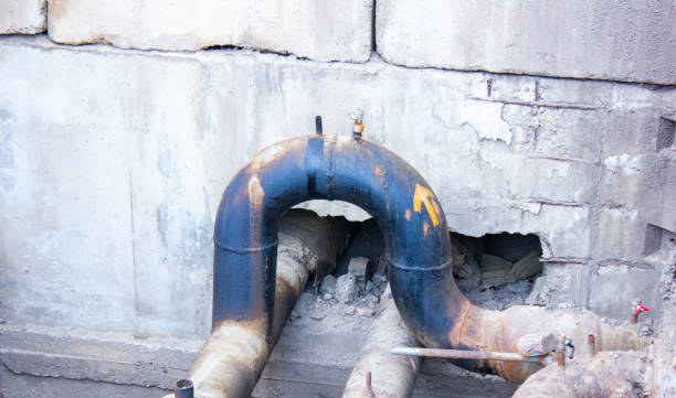 Best Ceiling water damage repair  in Erwin, TN